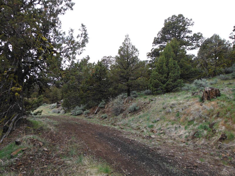 Moon Valley Ranch Tract 772 photo 4
