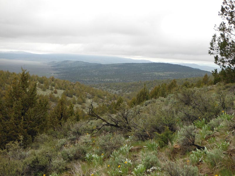 Moon Valley Ranch Tract 772 photo 9