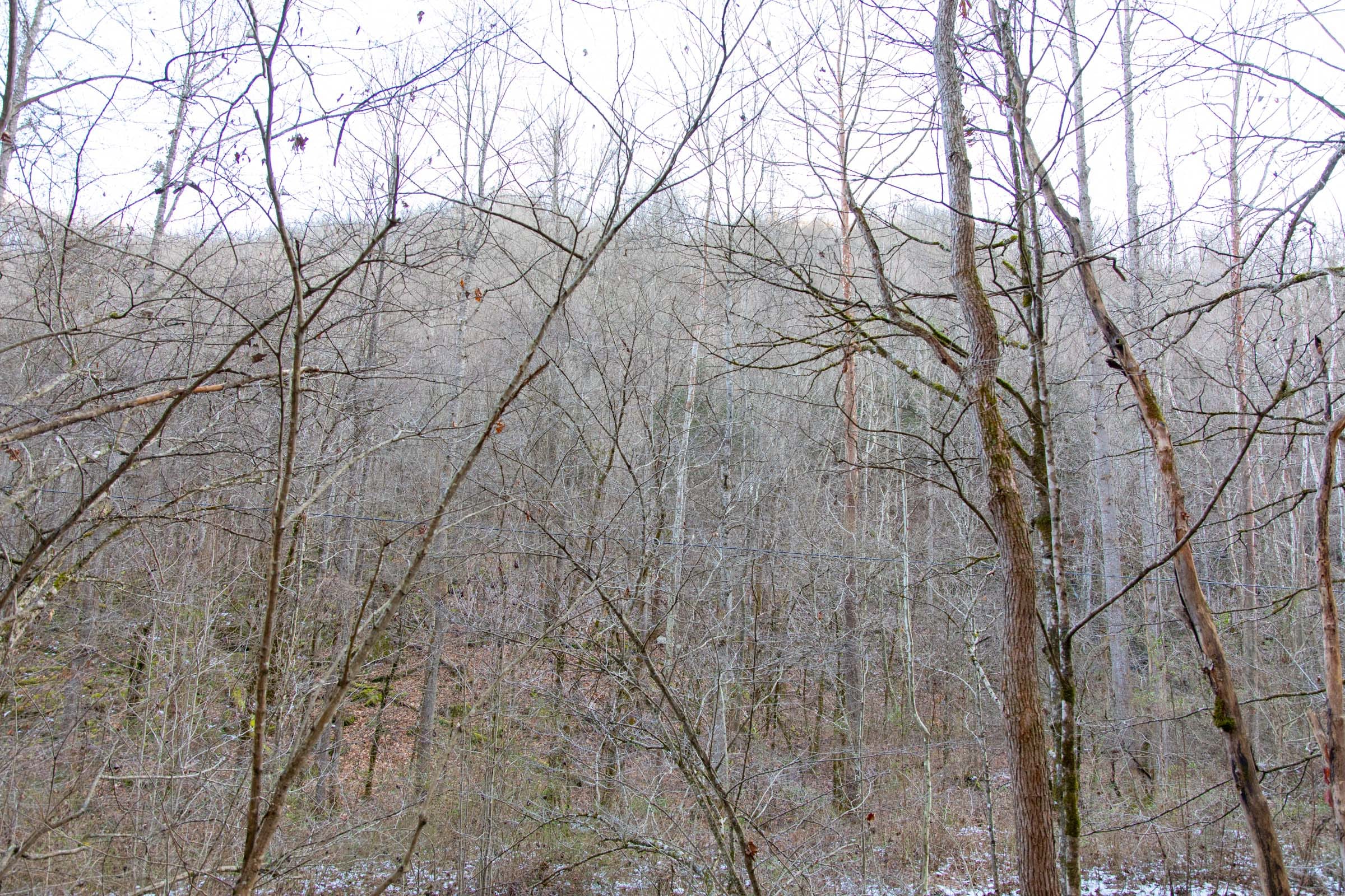 Blackstone Mountain Phase I Tract 7 photo 7