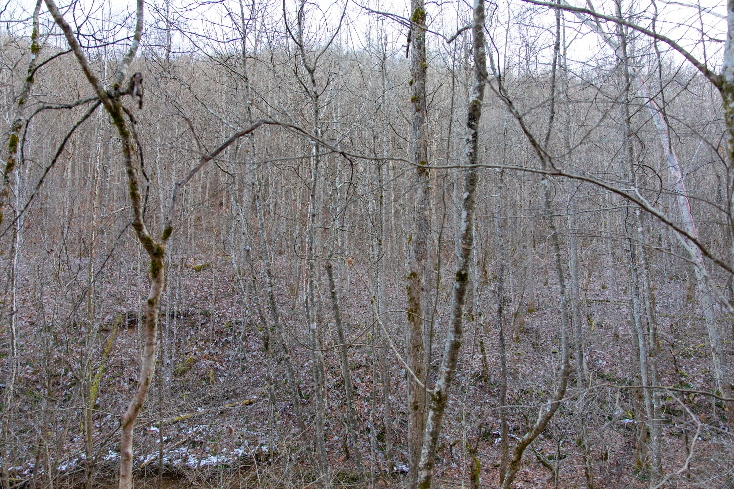 Blackstone Mountain Phase I Tract 7 photo 12