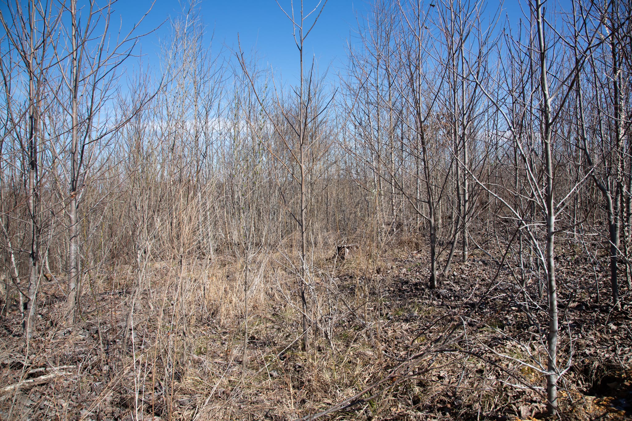 Southwind Ranch Tract 7 photo 2