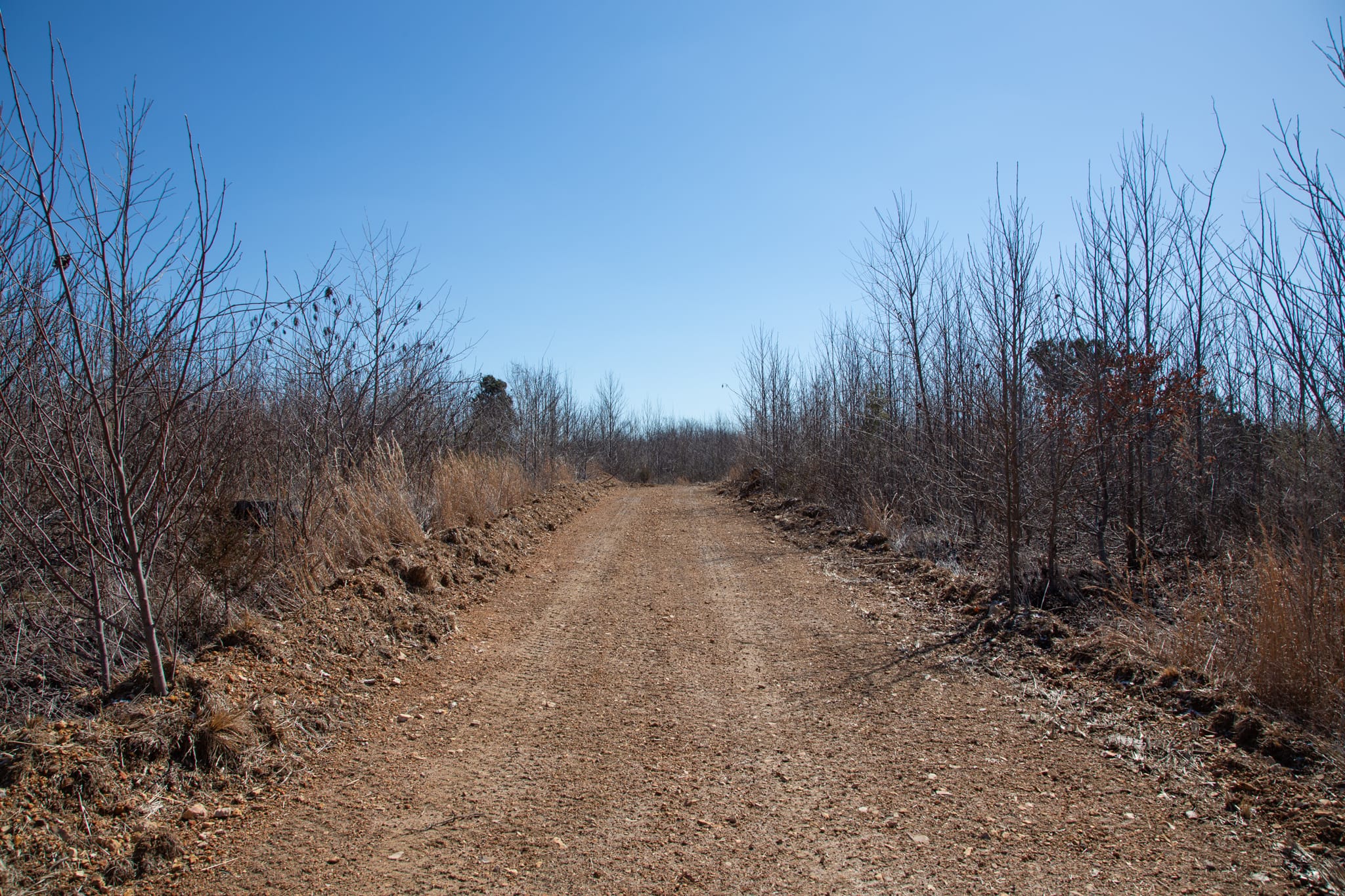 Southwind Ranch Tract 7 photo 3