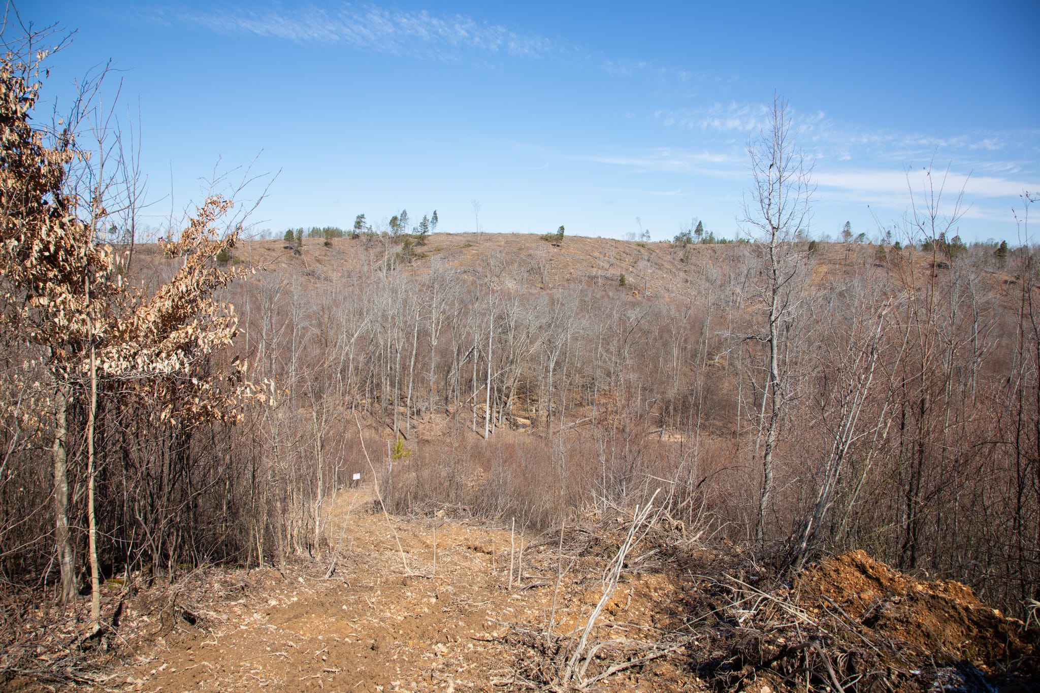 Southwind Ranch Tract 7 photo 6