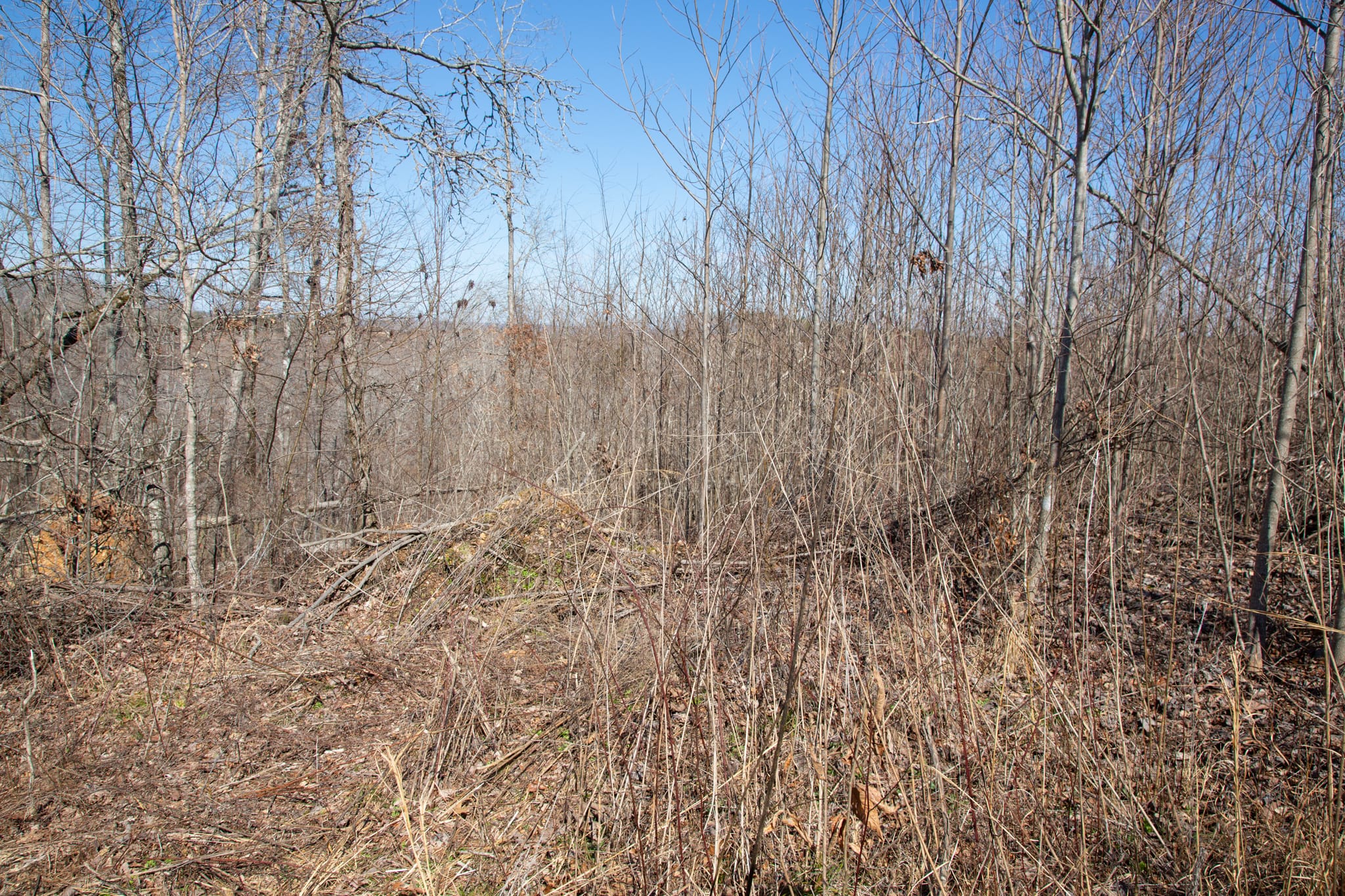 Southwind Ranch Tract 7 photo 9