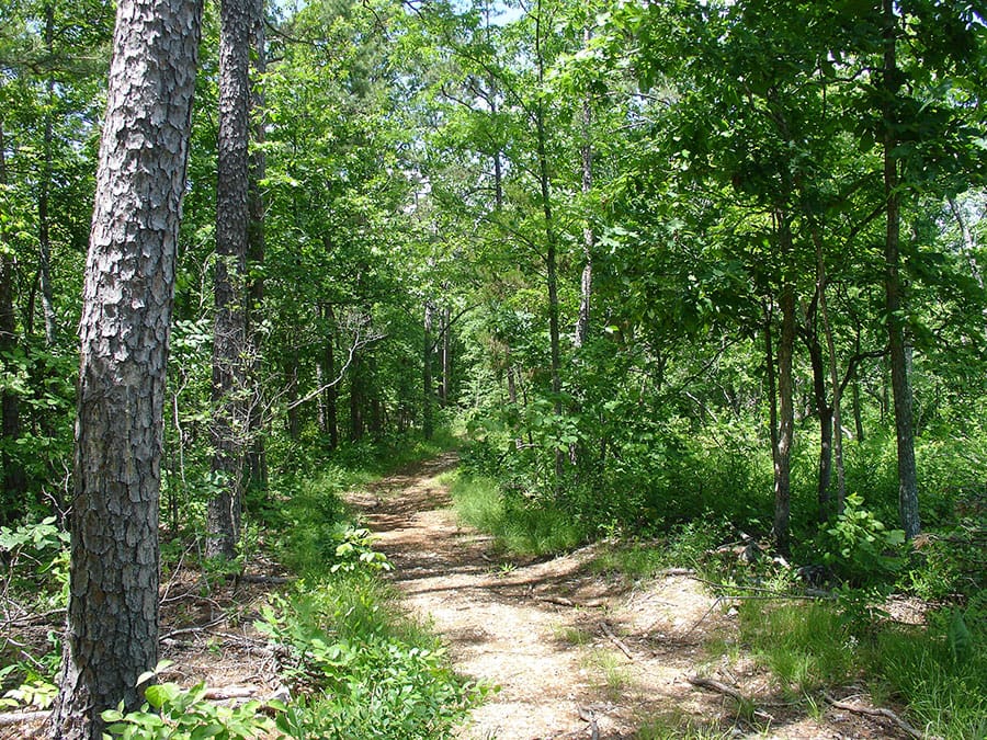 Antler Ridge Tract 13 photo 2