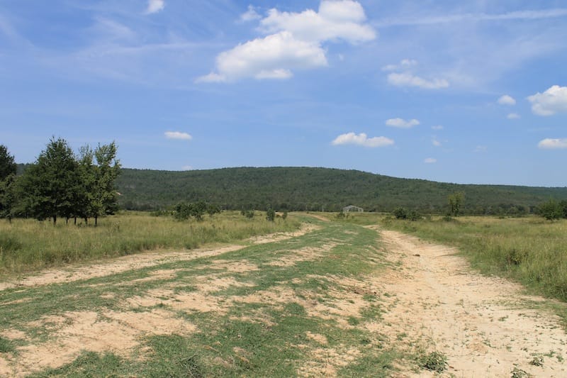 Daisy Meadows Tract 40 photo 1