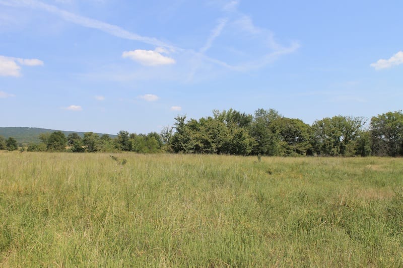 Daisy Meadows Tract 40 photo 4