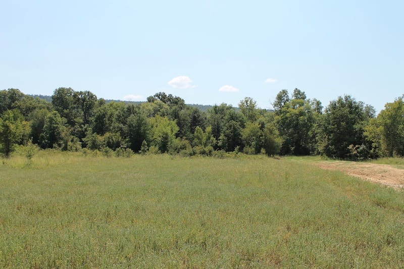 Daisy Meadows Tract 40 photo 6
