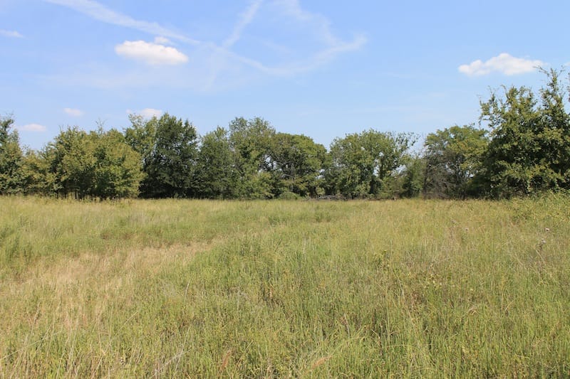 Daisy Meadows Tract 40 photo 7