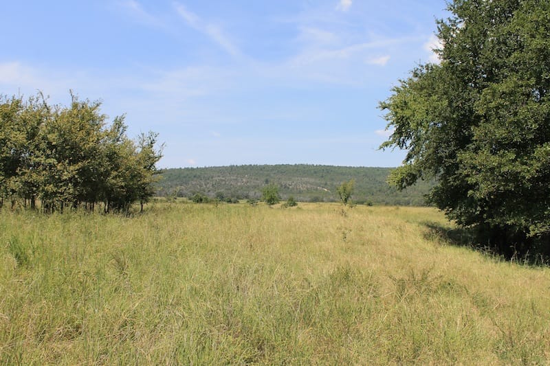 Daisy Meadows Tract 40 photo 8