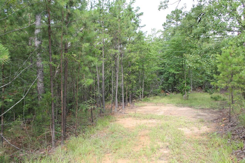 Trophy Ridge Phase III Tract 4 photo 1
