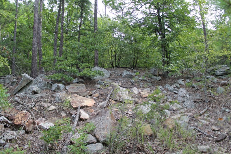 Trophy Ridge Phase III Tract 4 photo 3