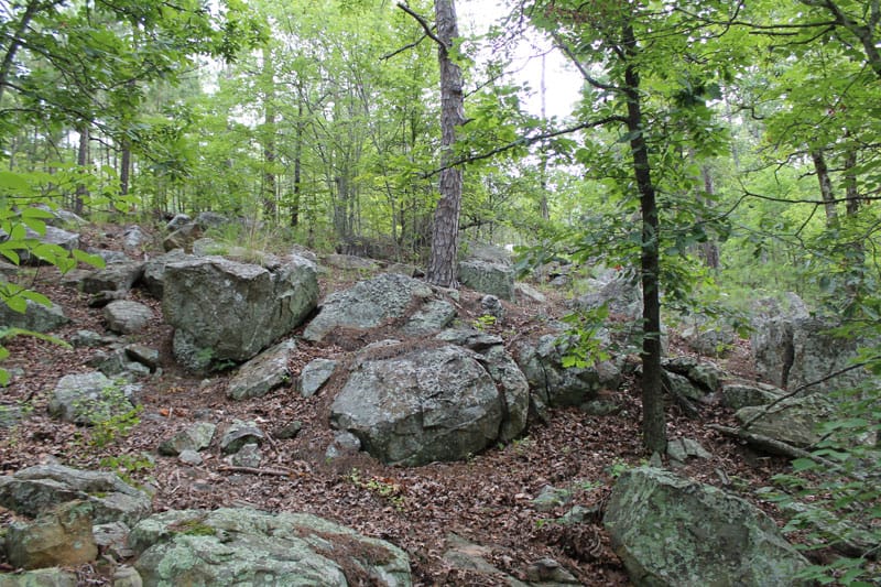Trophy Ridge Phase III Tract 4 photo 8
