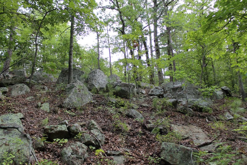 Trophy Ridge Phase III Tract 4 photo 9