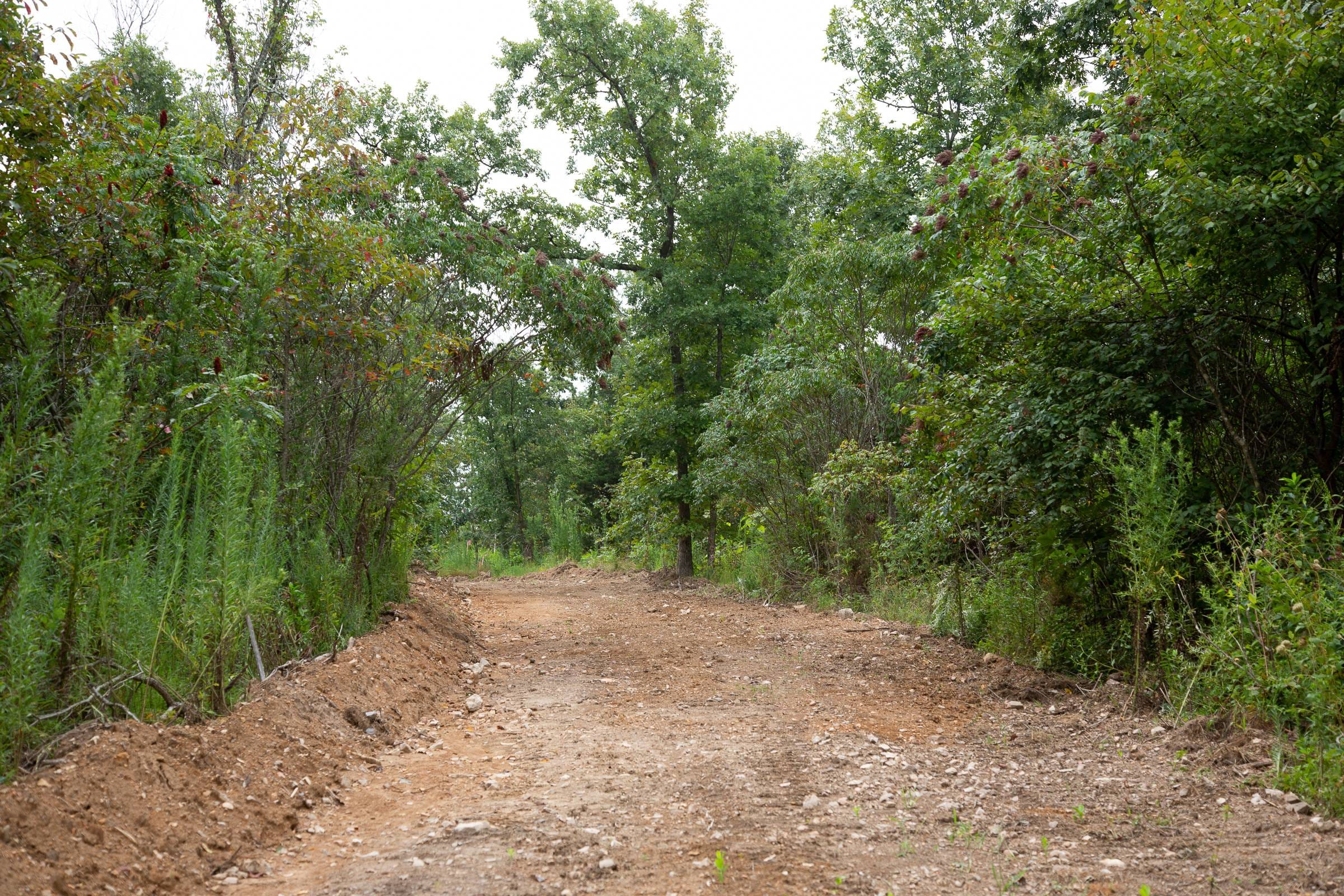 Borgmann’s Hollow Phase II Tract 44 photo 1