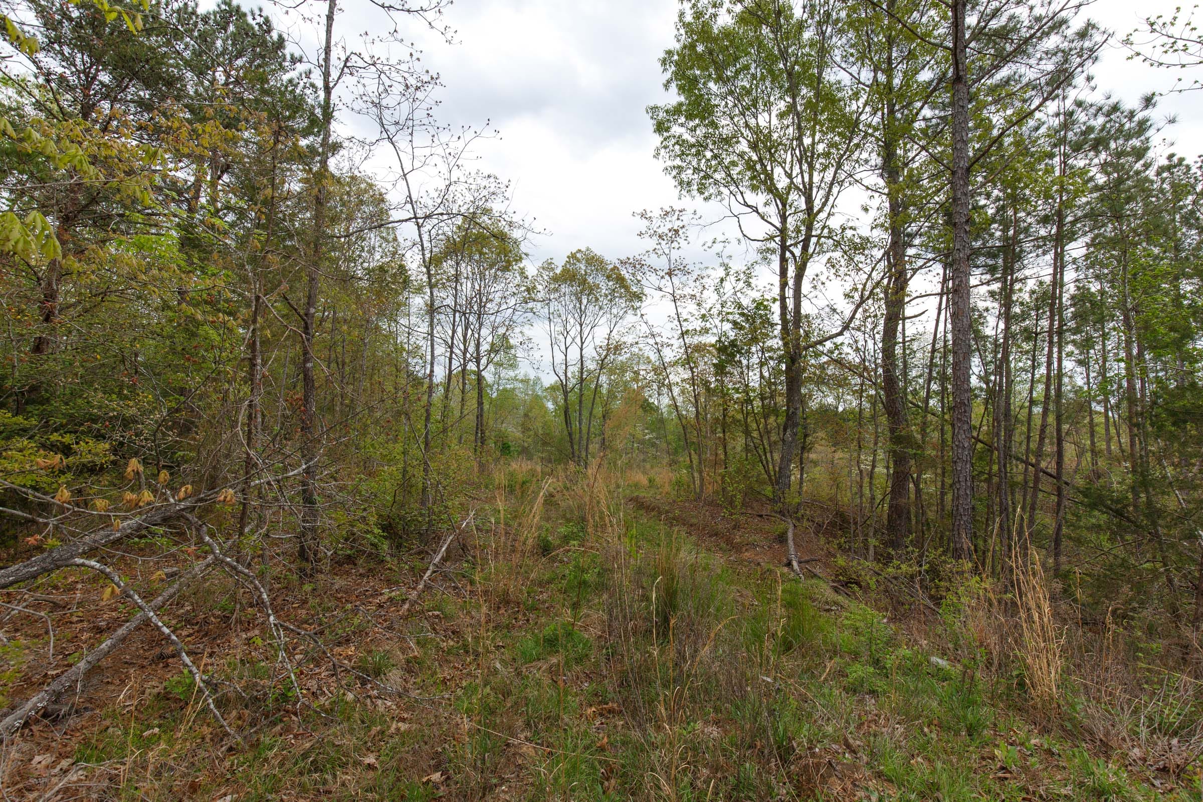 Twin Rivers Tract 37 photo 2