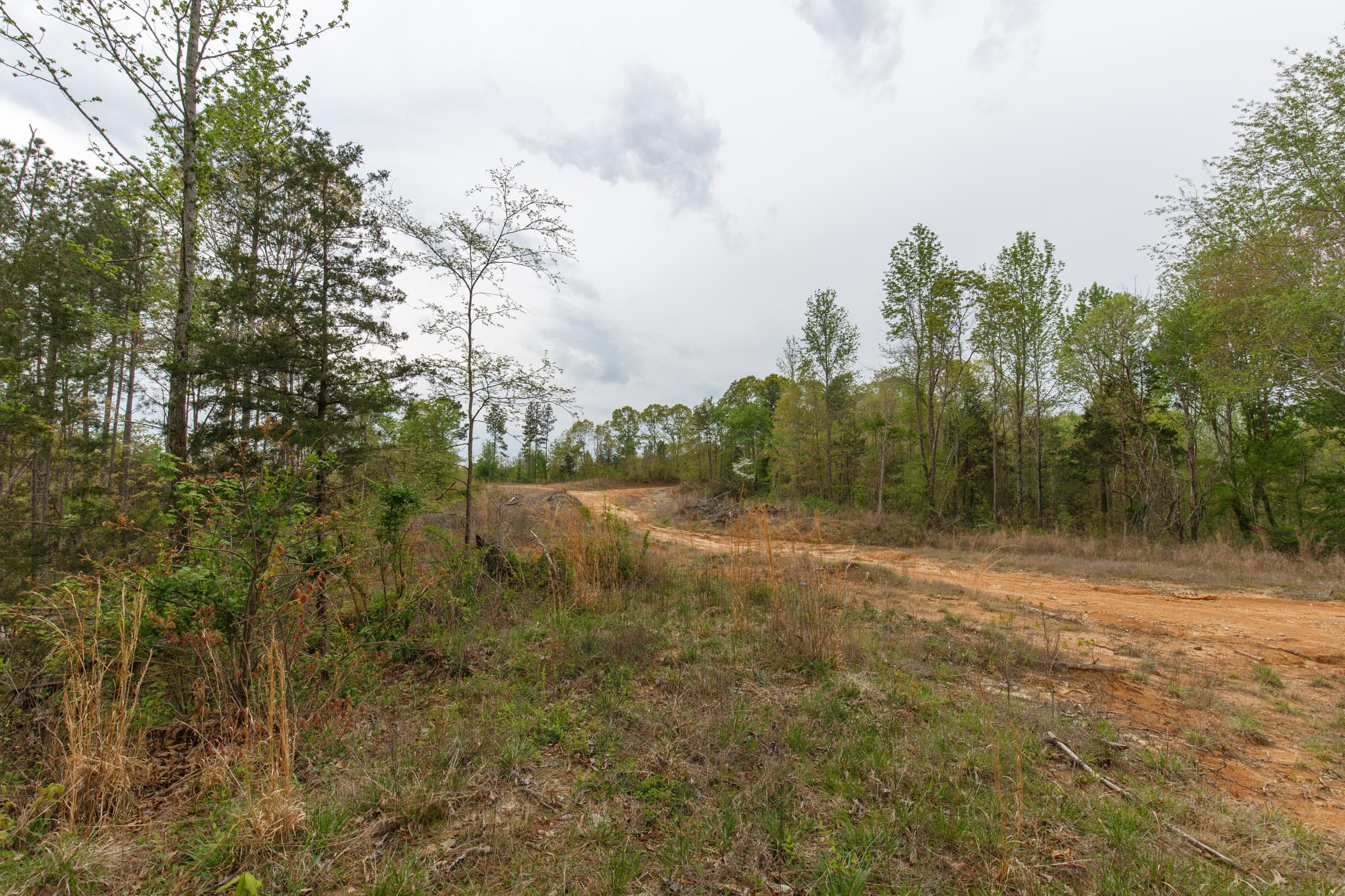 Twin Rivers Tract 37 photo 3