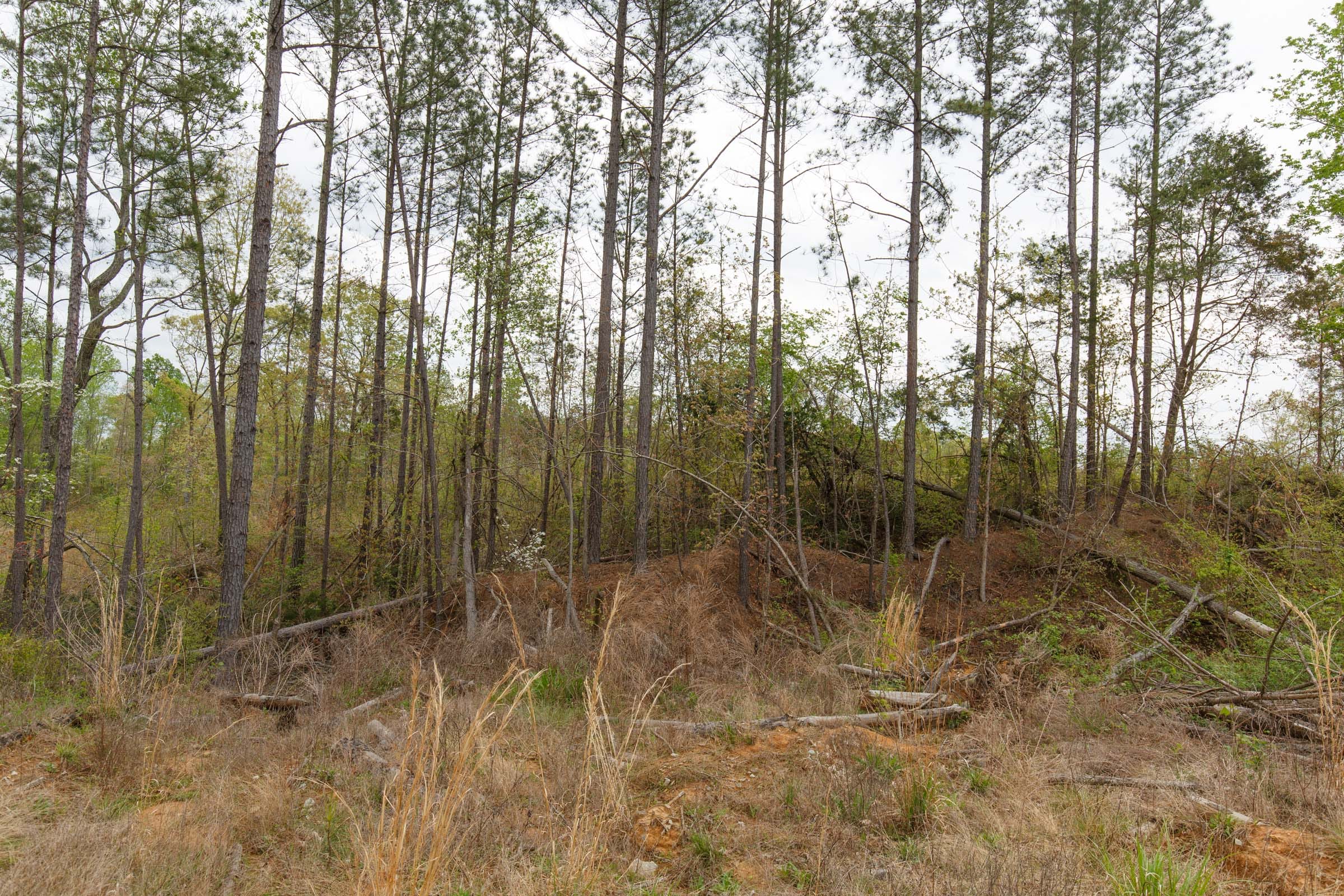 Twin Rivers Tract 37 photo 6