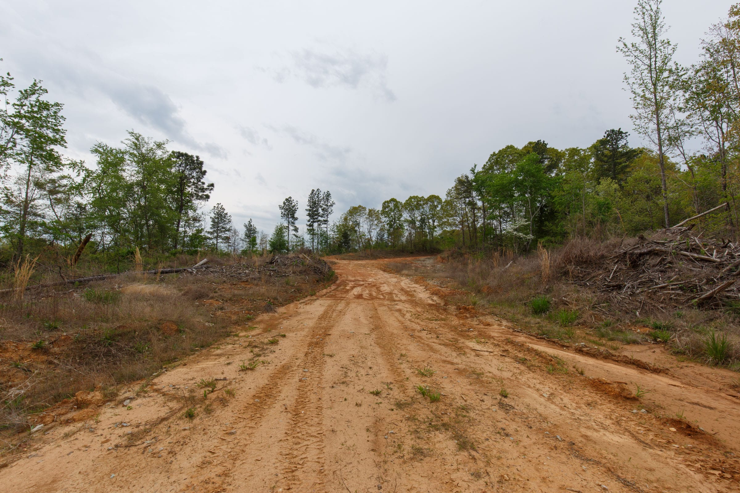 Twin Rivers Tract 37 photo 7