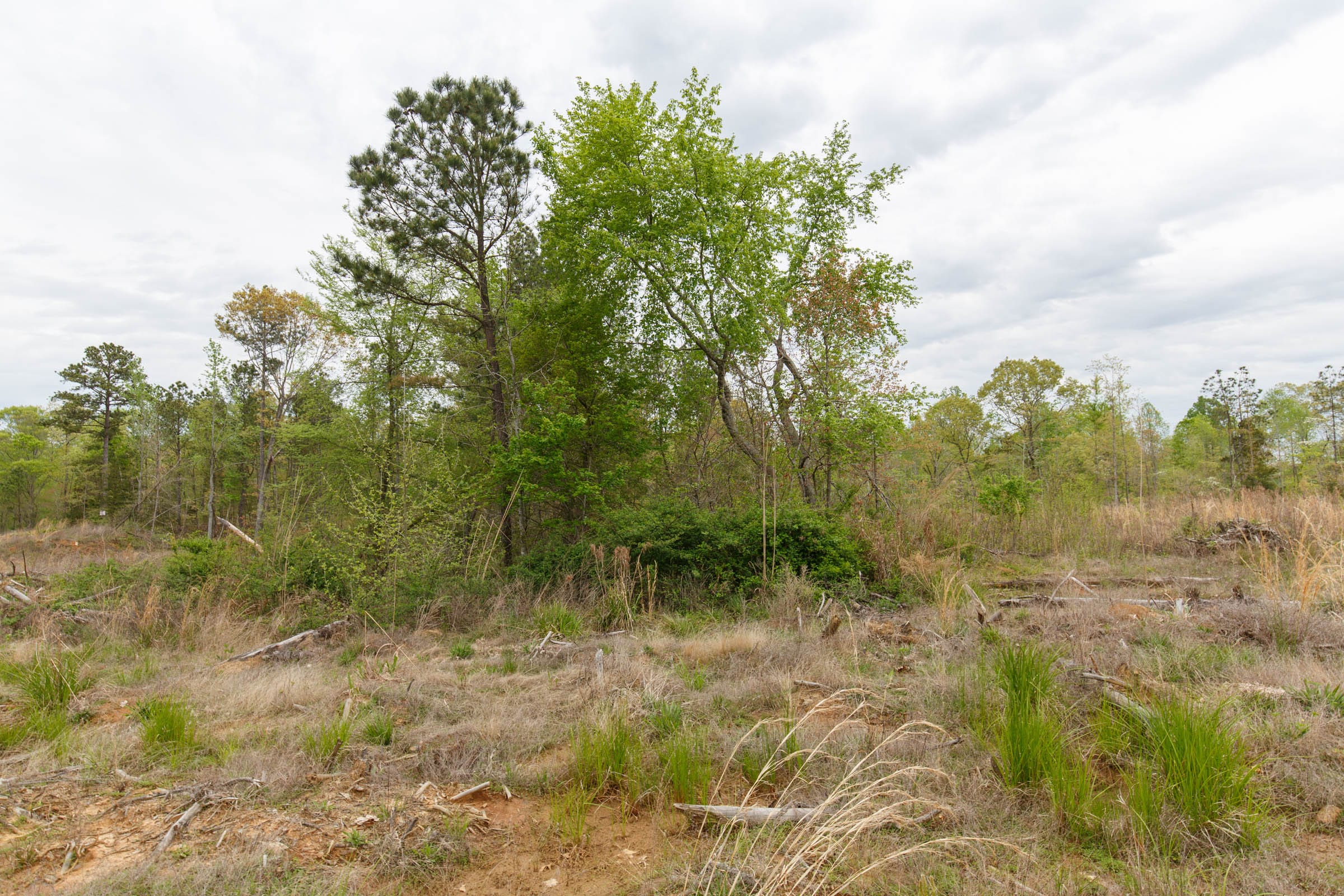 Twin Rivers Tract 37 photo 1