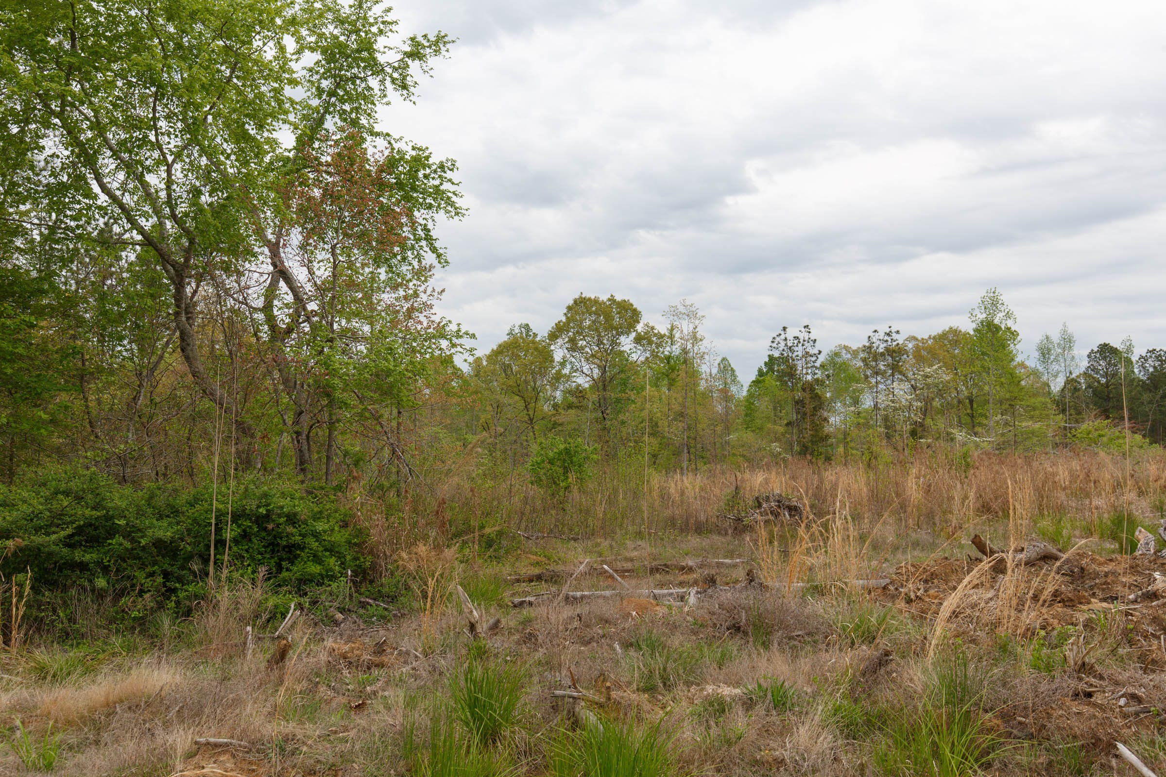 Twin Rivers Tract 37 photo 8