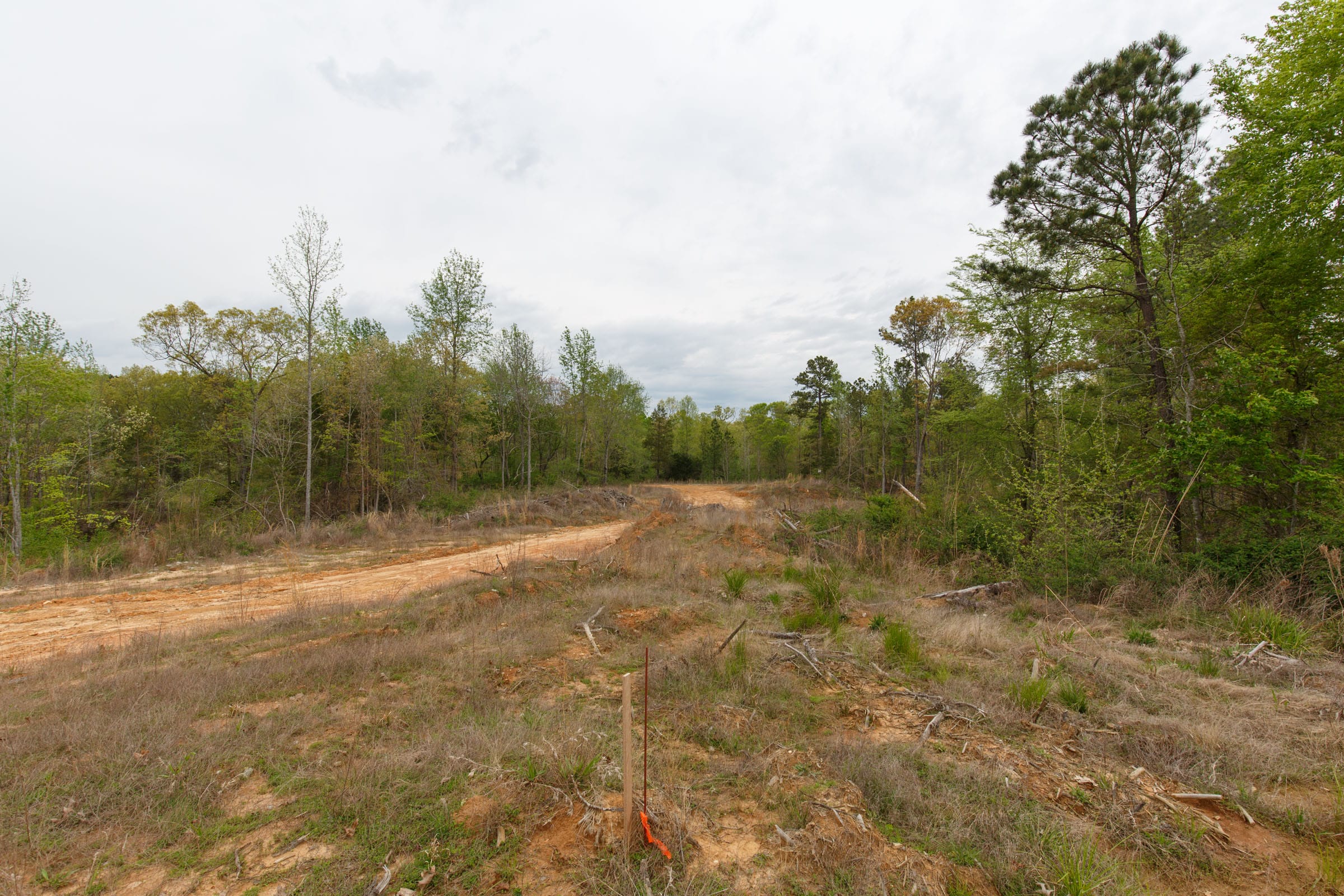 Twin Rivers Tract 37 photo 9