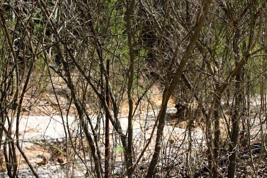Montgomery Ranch Tract 3 photo 3