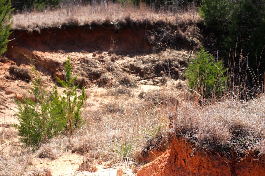 Montgomery Ranch Tract 3 photo 7