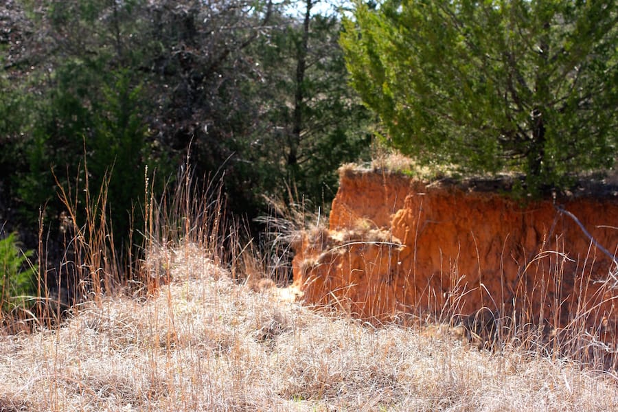 Montgomery Ranch Tract 3 photo 8