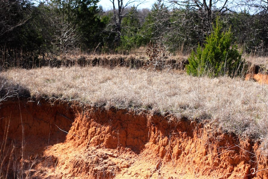 Montgomery Ranch Tract 3 photo 9