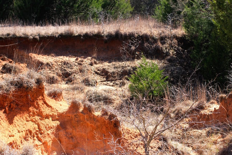 Montgomery Ranch Tract 3 photo 10