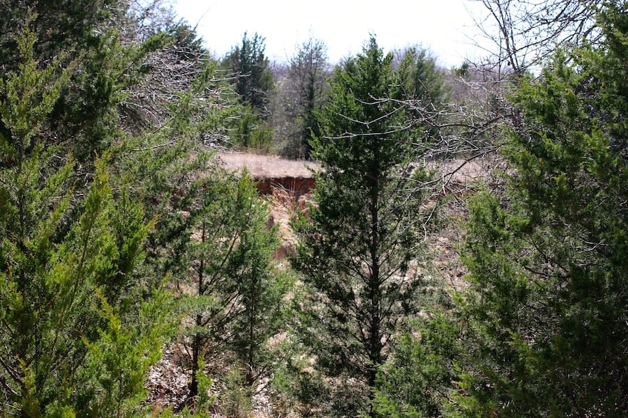 Montgomery Ranch Tract 3 photo 11