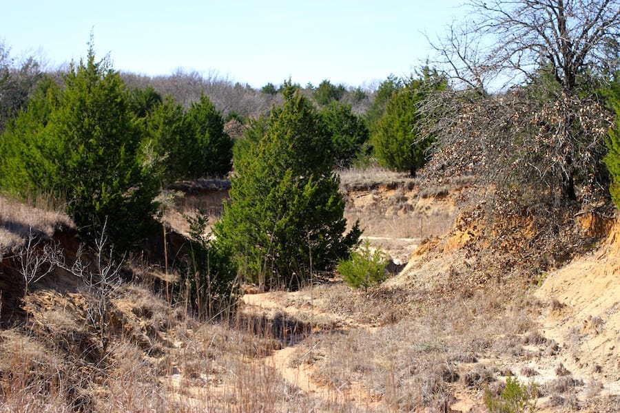 Montgomery Ranch Tract 3 photo 12