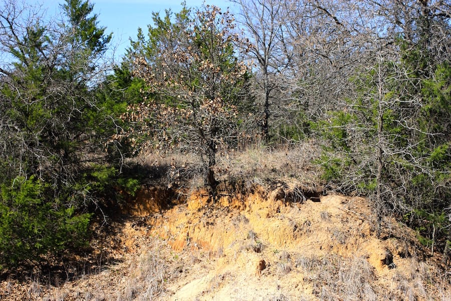 Montgomery Ranch Tract 3 photo 13