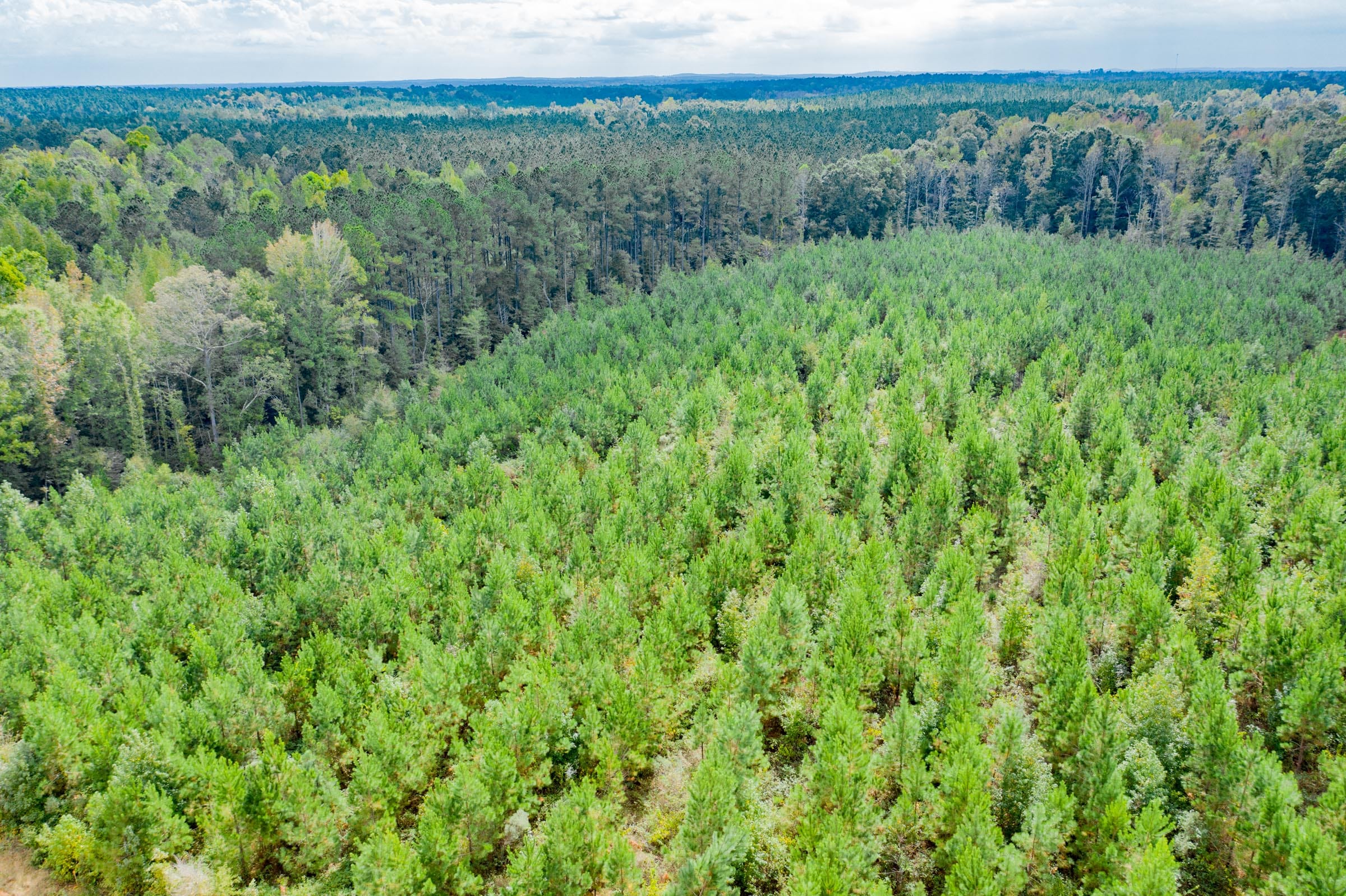 Sky Ranch Tract 5 photo 1