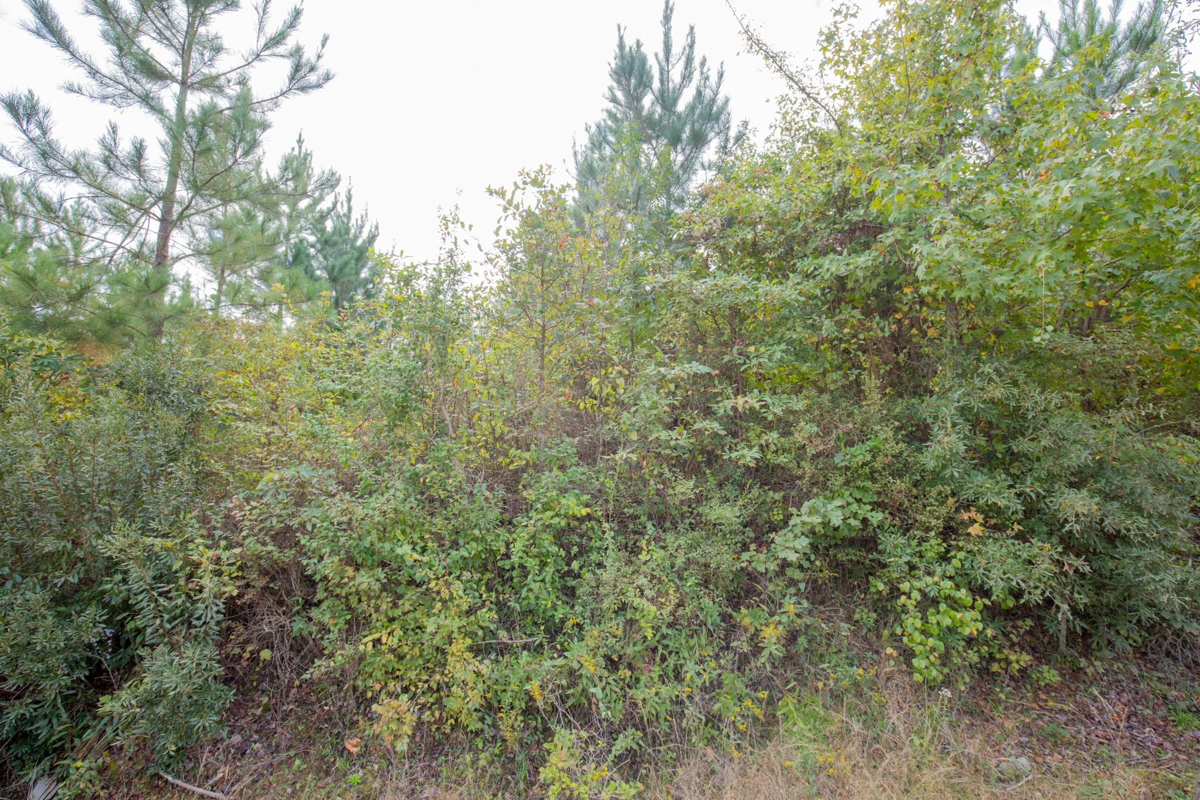 Sky Ranch Tract 5 photo 8