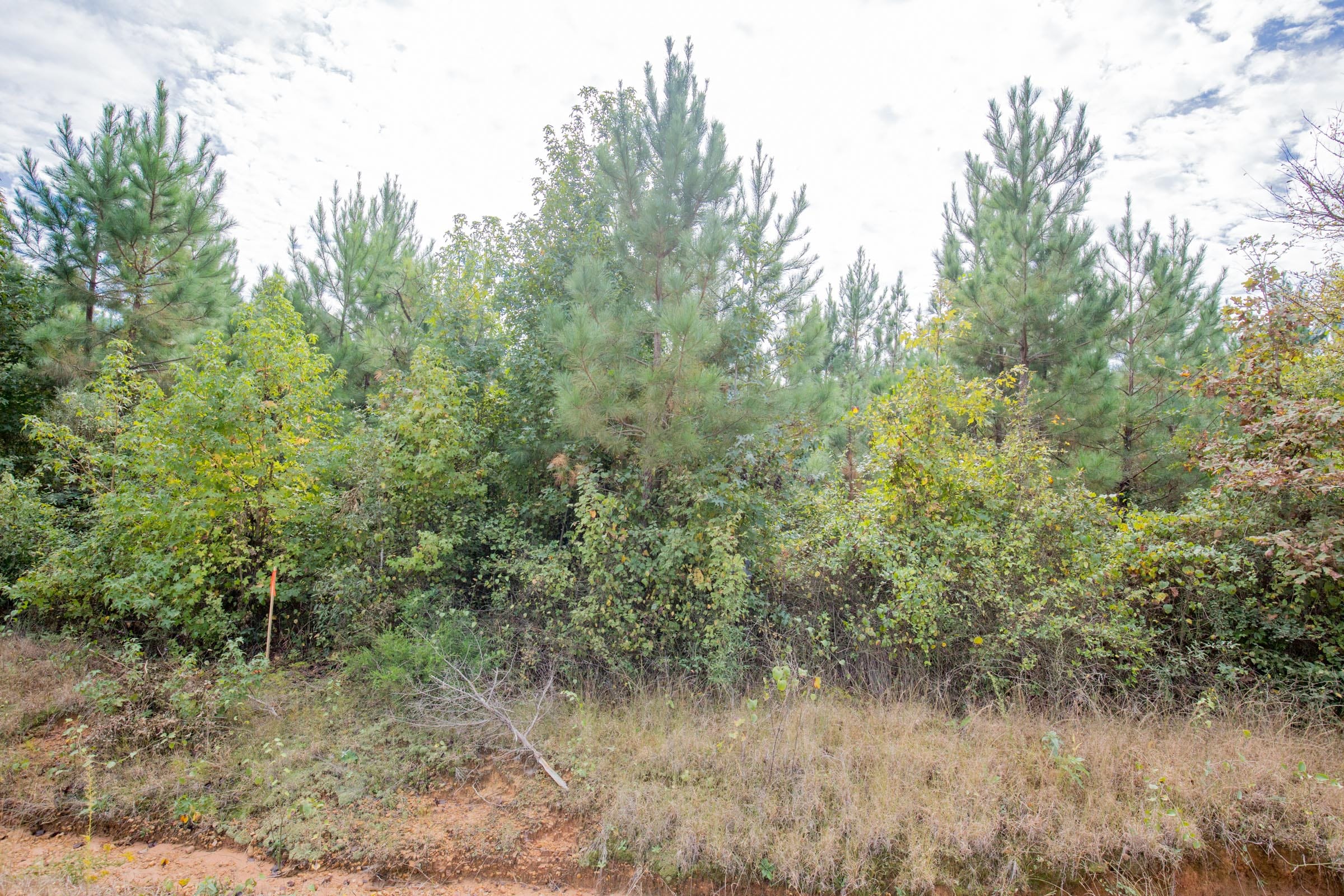 Sky Ranch Tract 5 photo 6