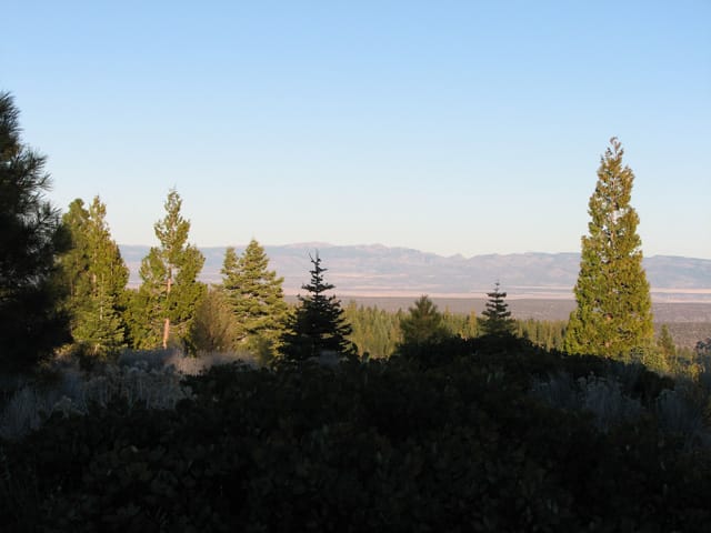 California Pines Tract 93 photo 1