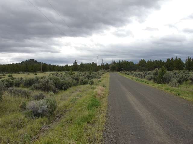 California Pines Tract 93 photo 4