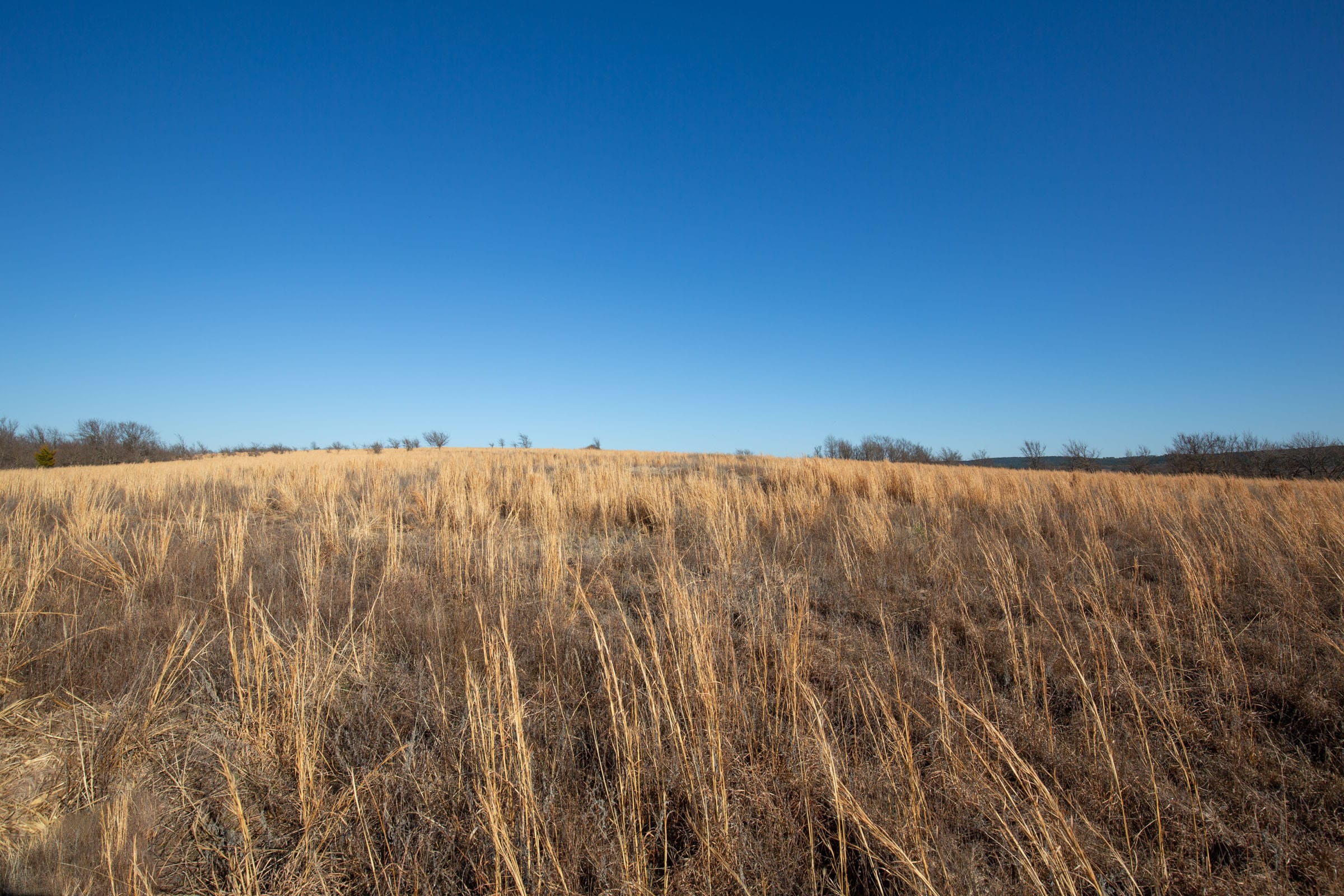 Painted Horse Tract 52 photo 2