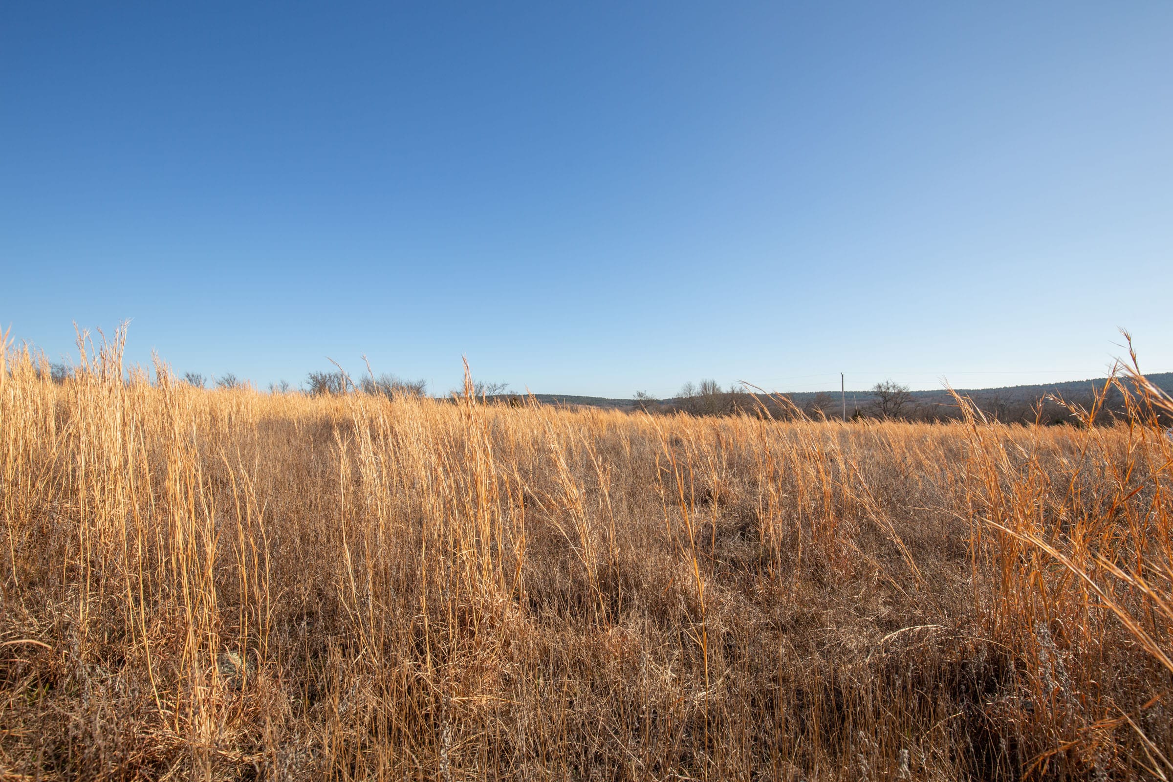 Painted Horse Tract 52 photo 4