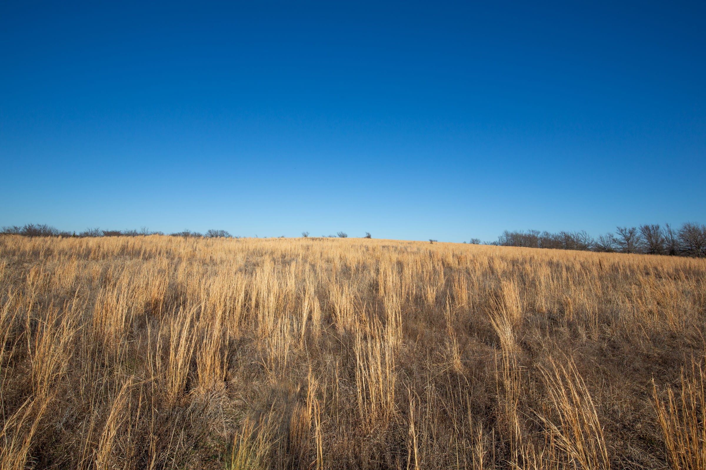 Painted Horse Tract 52 photo 6
