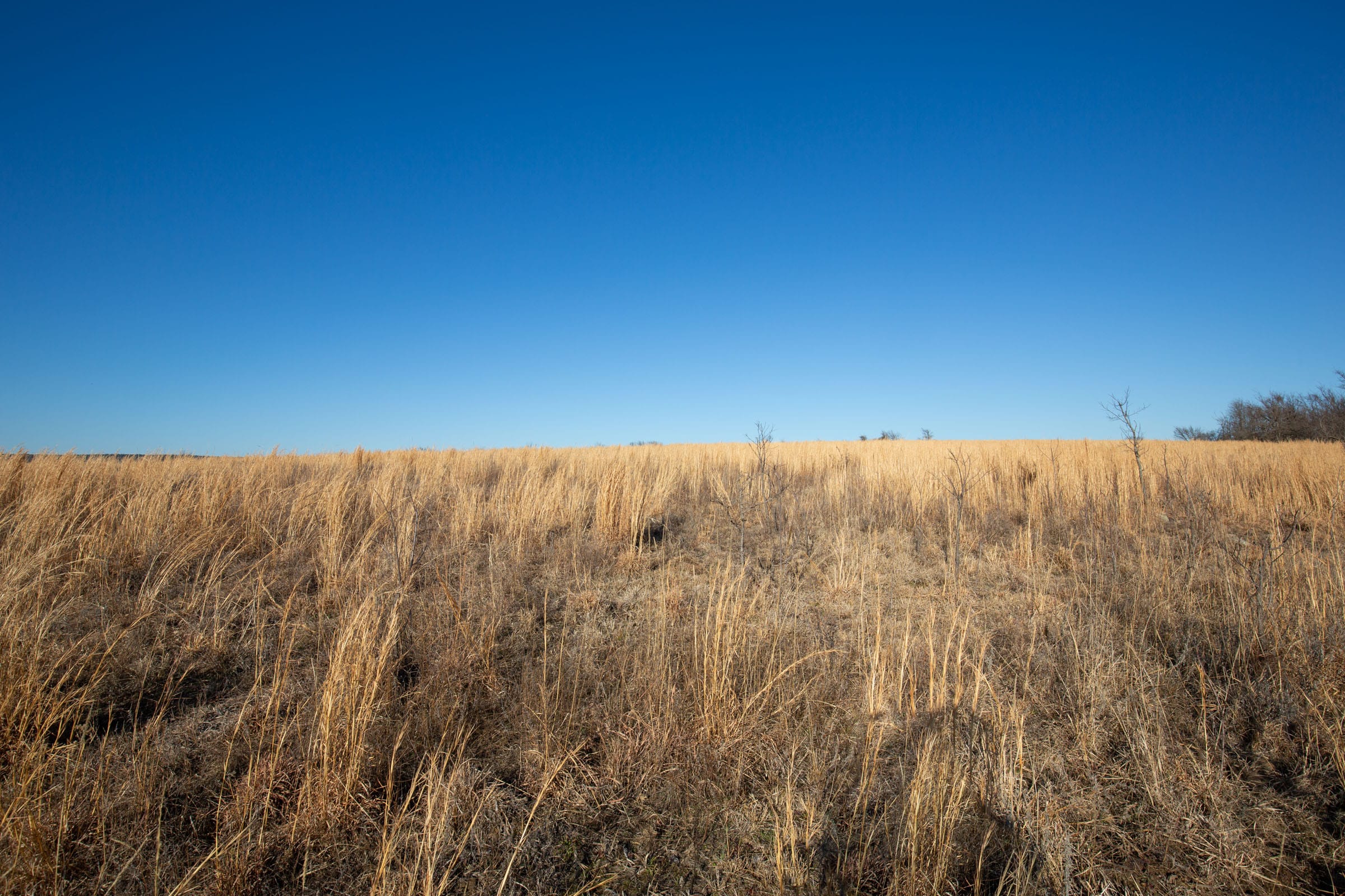 Painted Horse Tract 52 photo 7