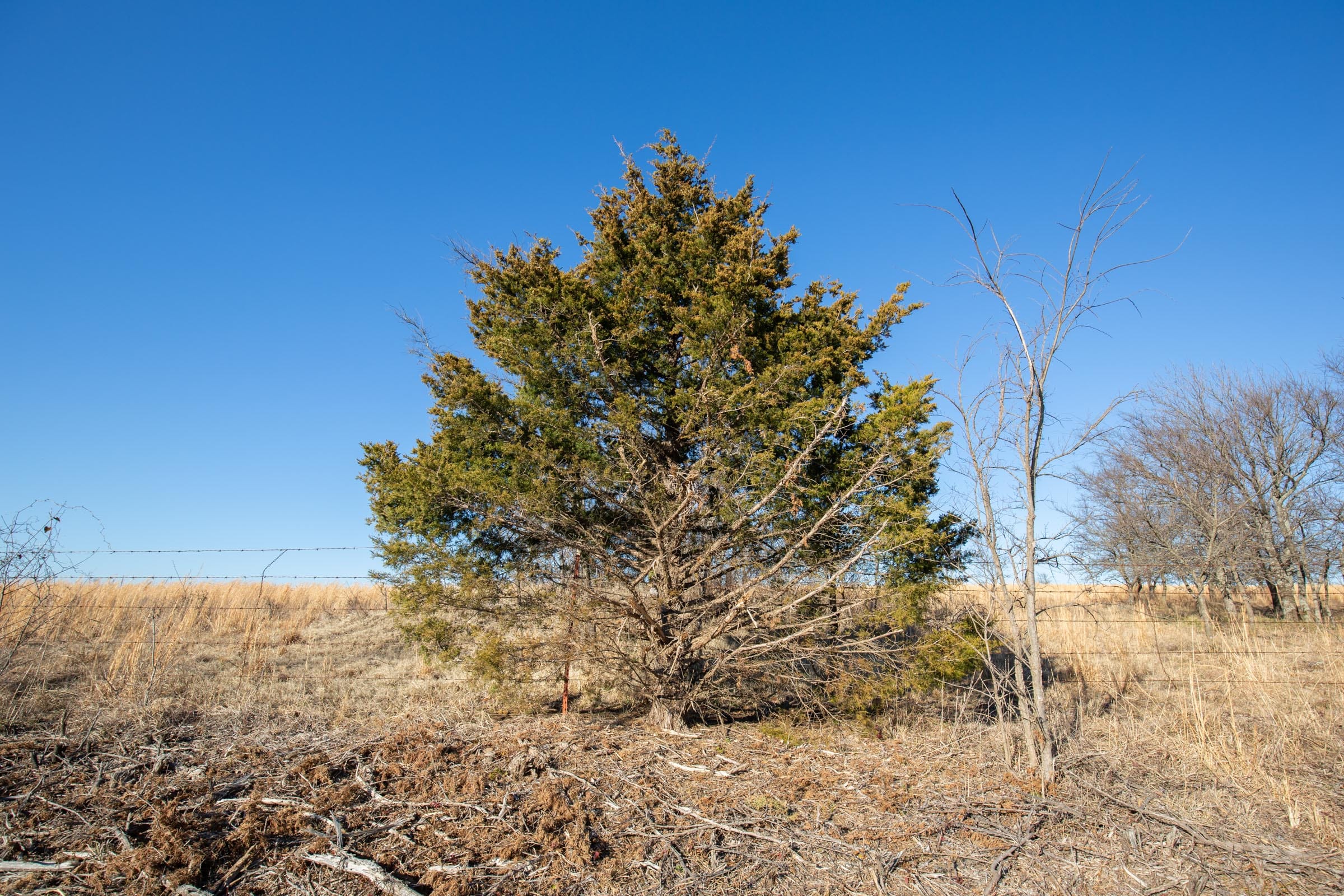 Painted Horse Tract 52 photo 9