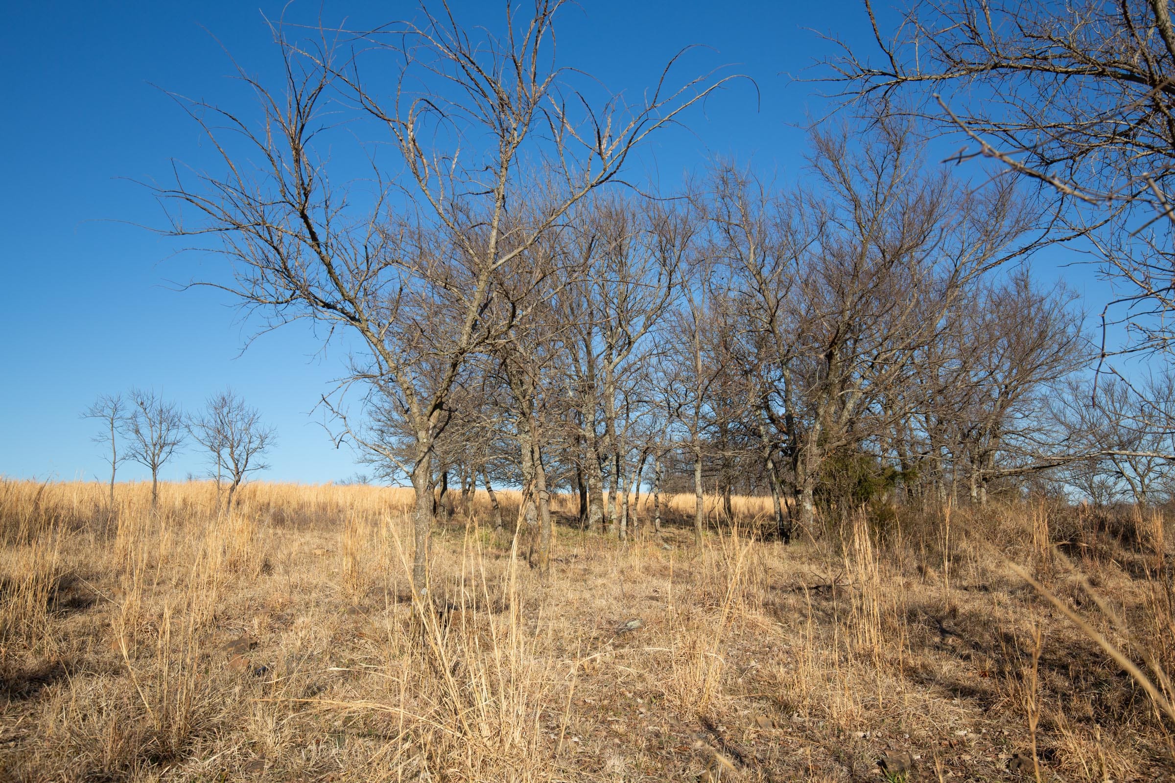 Painted Horse Tract 52 photo 11