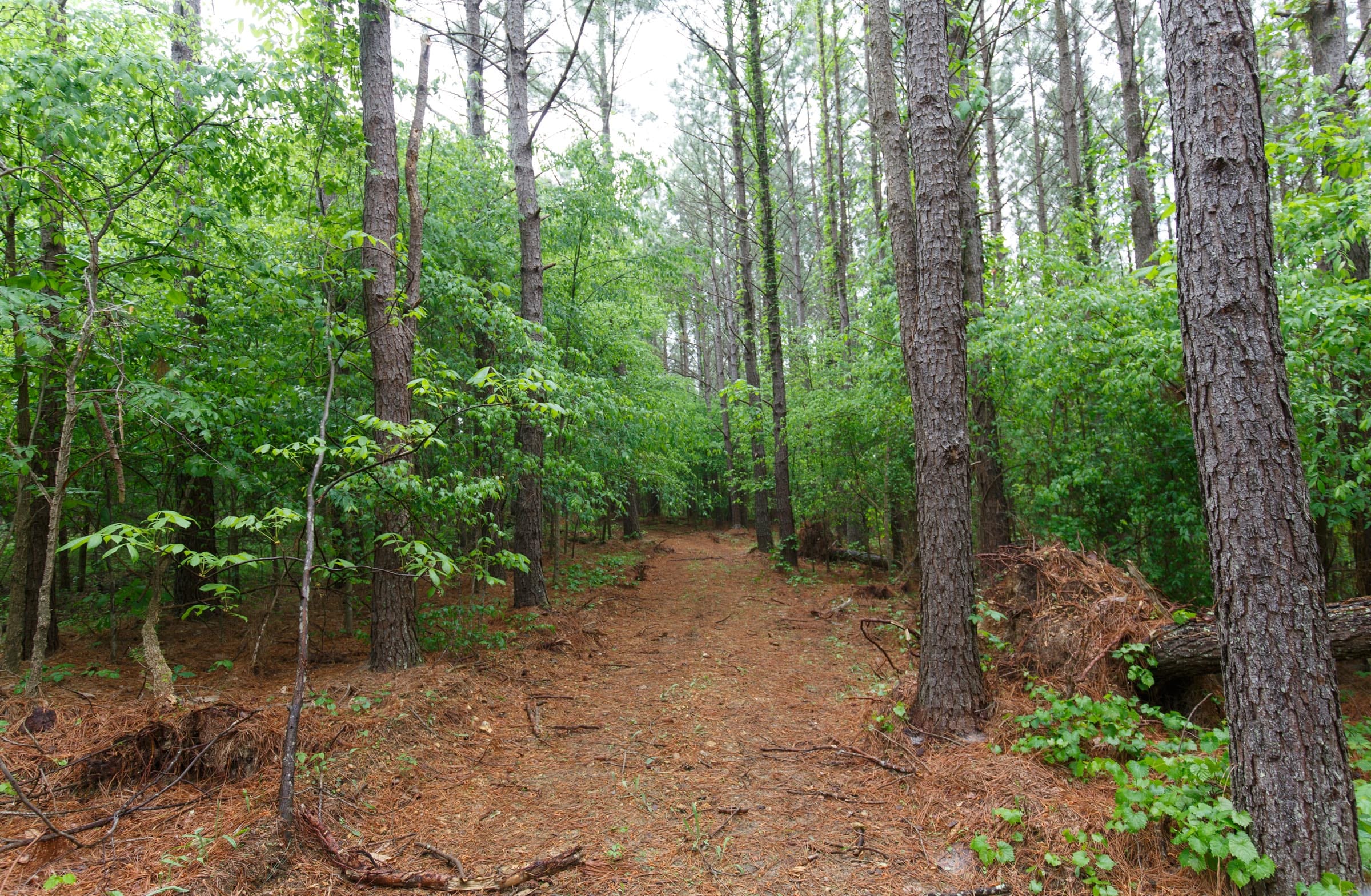 Red Barn Ranch Tract 26 photo 1