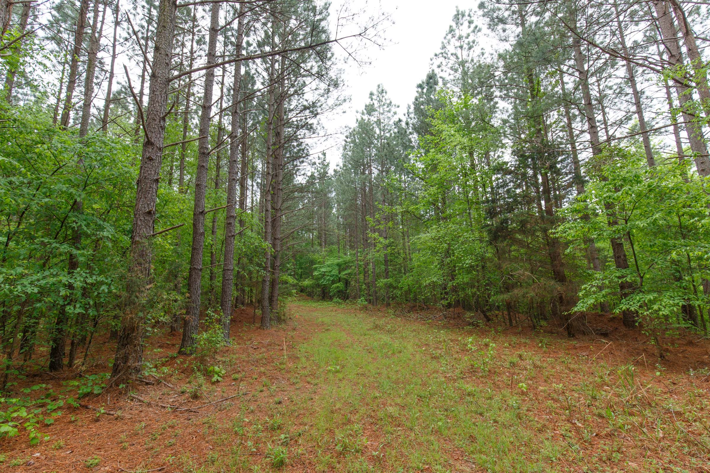 Red Barn Ranch Tract 26 photo 15