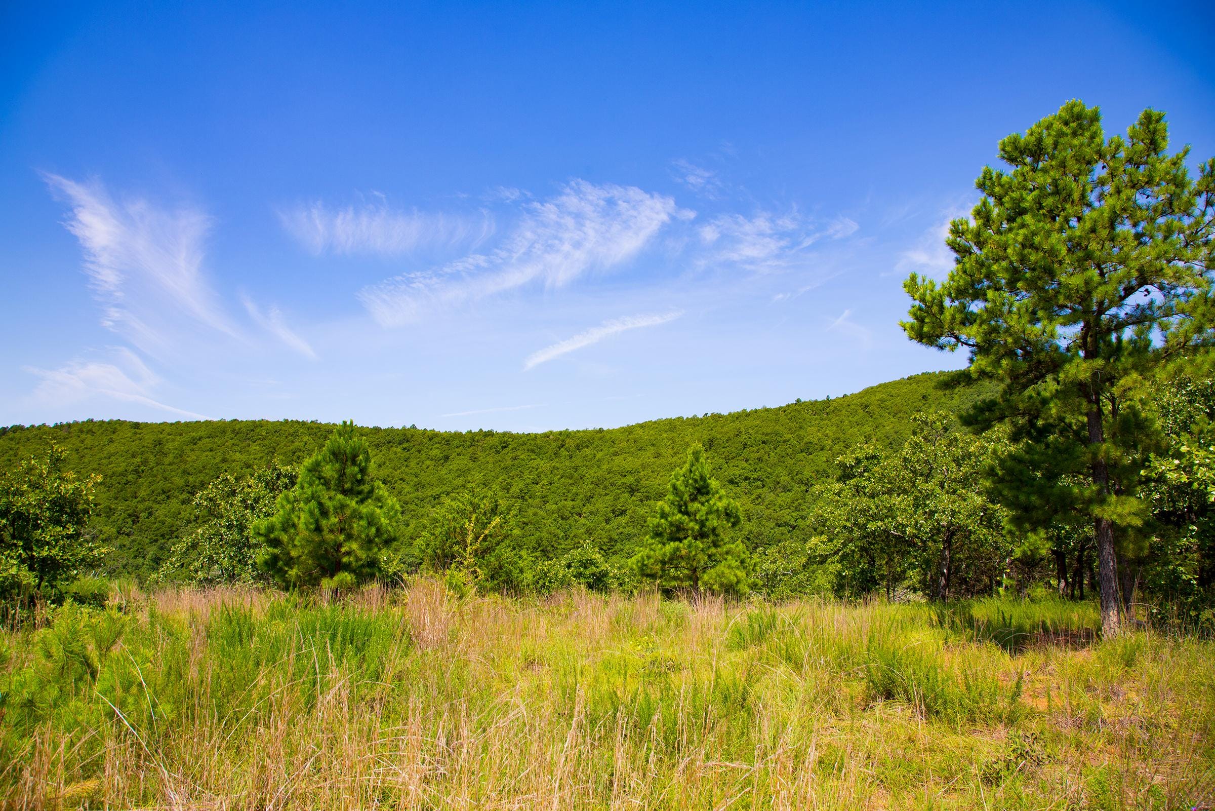 Tyler Stone Ranch Tract 82 photo 8