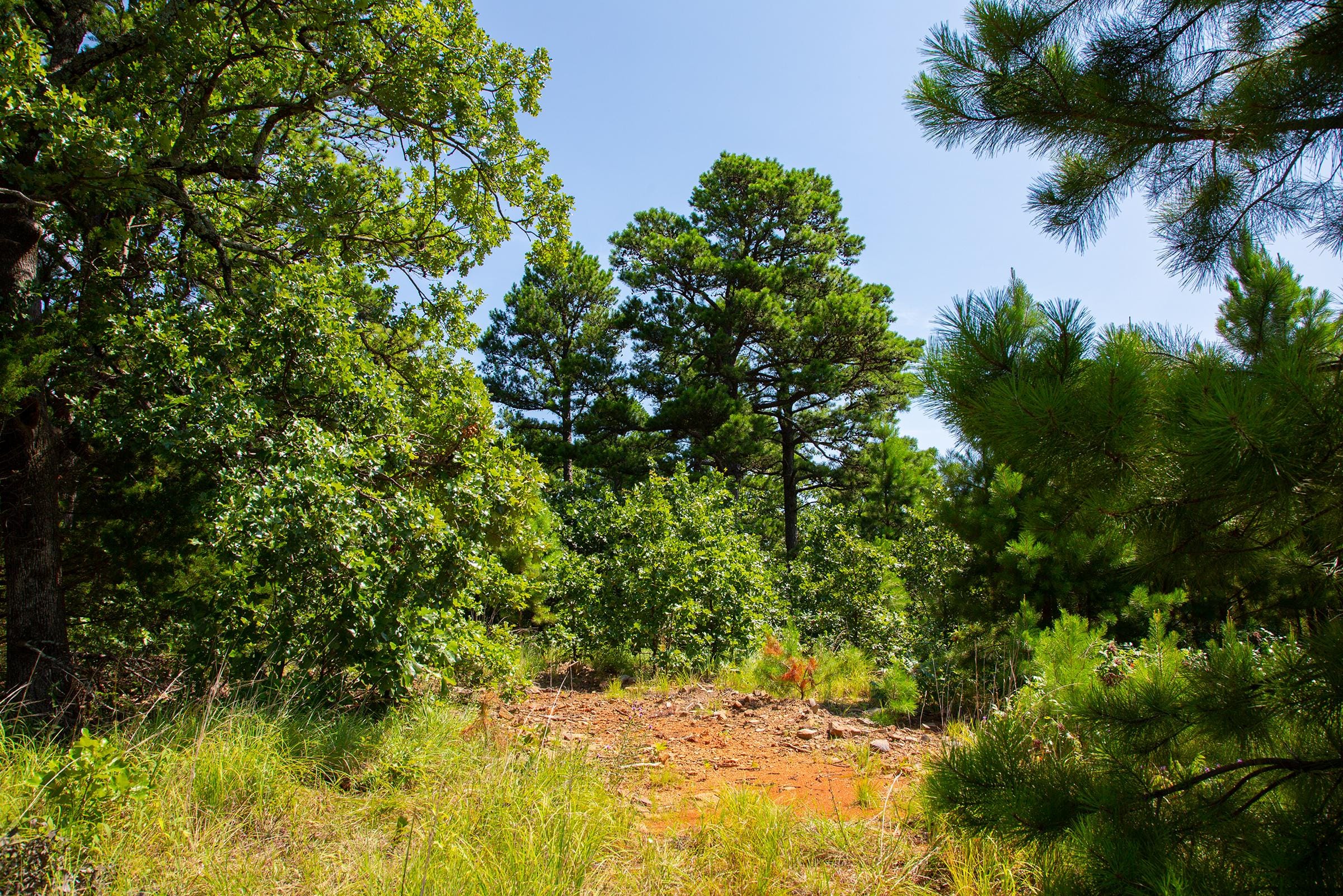 Tyler Stone Ranch Tract 82 photo 10