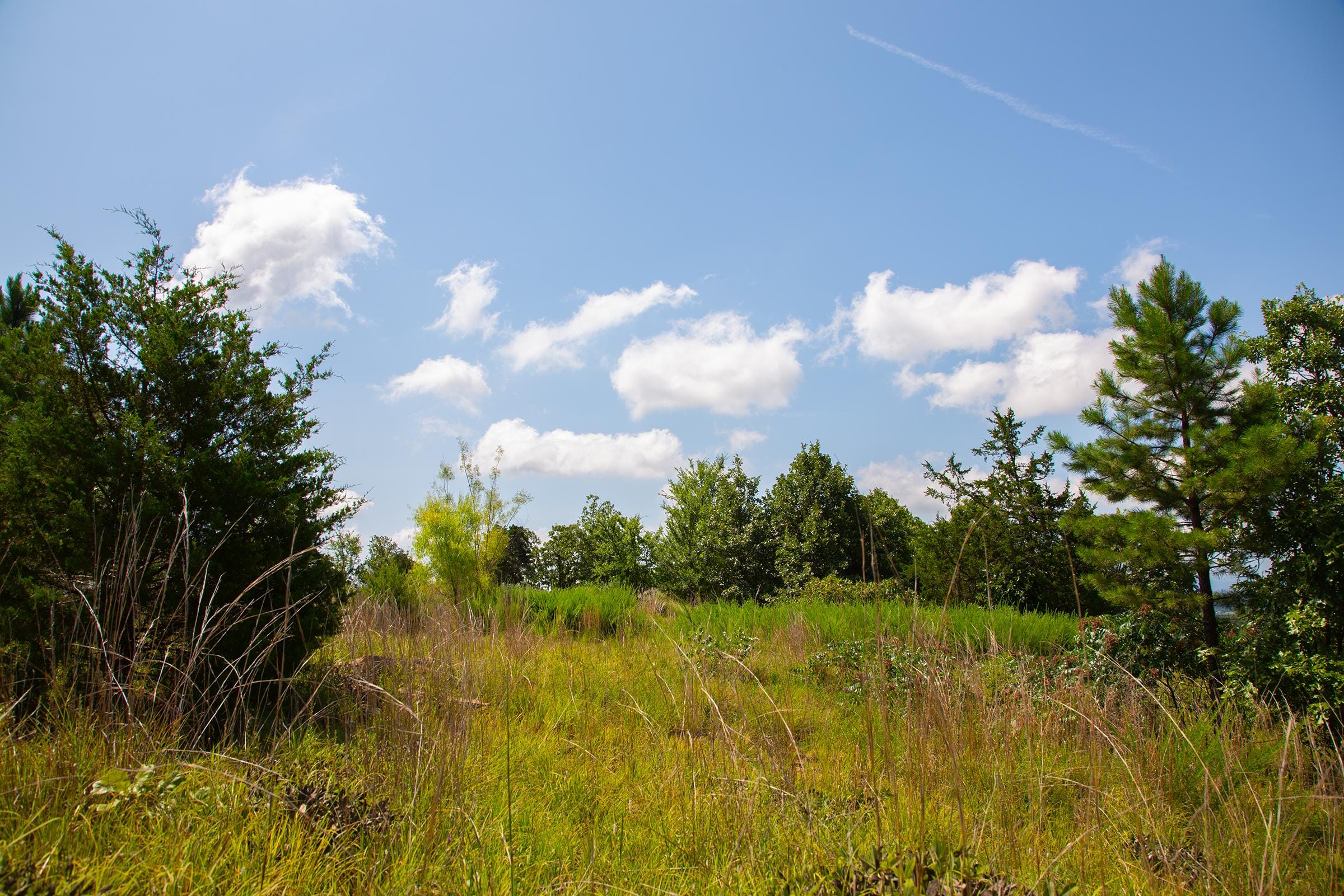 Tyler Stone Ranch Tract 82 photo 12